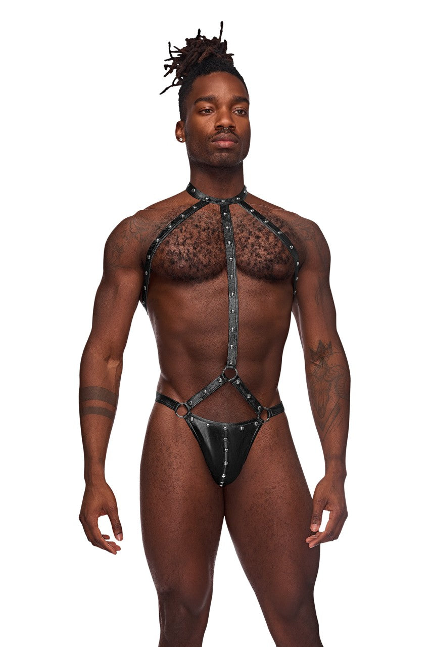 MPPAK133 Malepower Gladiator Underwear