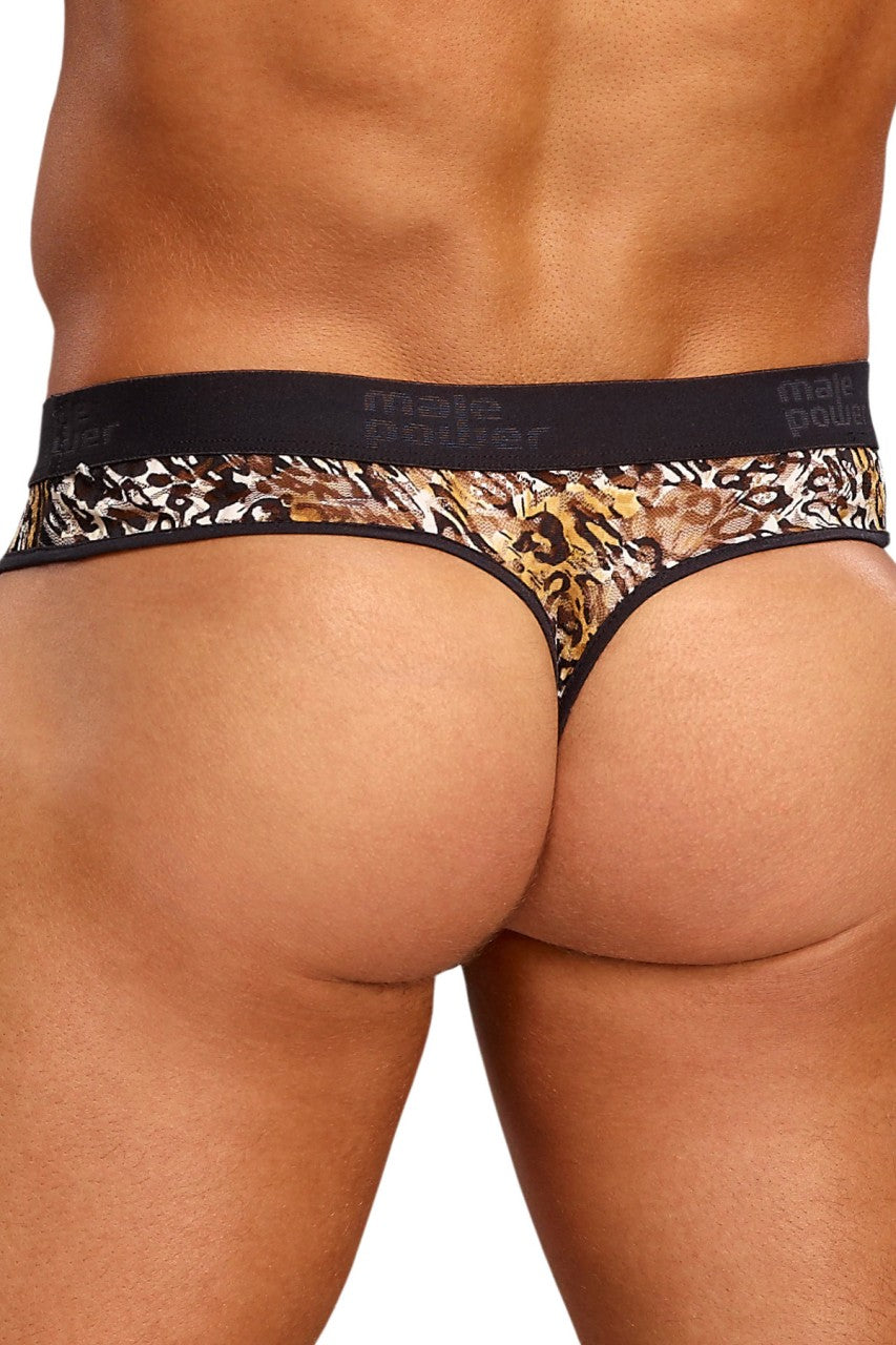 MP436174 PODER MALEPOWER MALO Lo Rise Enhancer Thong Brown