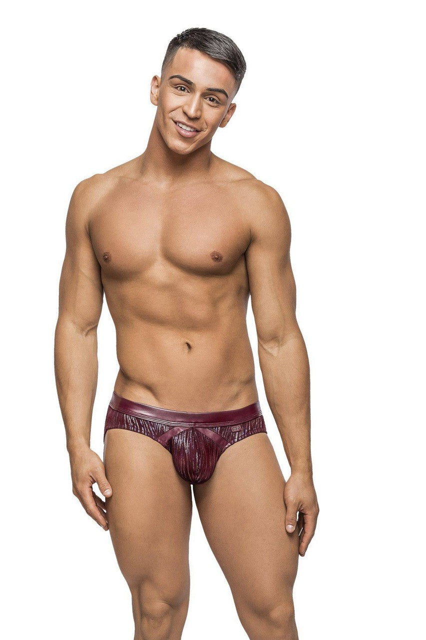 MP485242 Malepower Insert Bikini - Burgundy