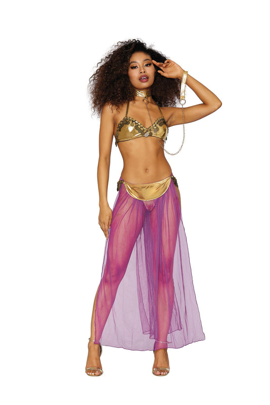 DG9320 Dreamgirl Sexy Lingerie Belly Dancer Gypsy Fantasy Costume